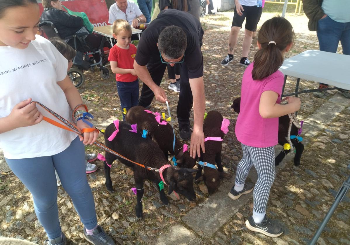 Los niños y los borreguitos protagonistas del Aleluya