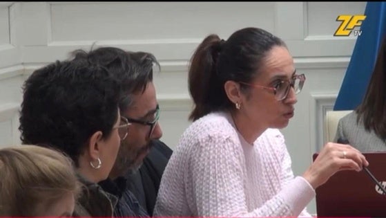 El PSOE denuncia el rechazo del Equipo de Gobierno a investigar los apagones eléctricos registrados