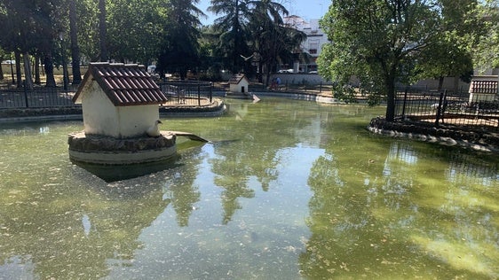 Zona del estanque del Parque de la Paz