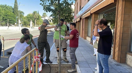 Algunos de los participantes en la plantación