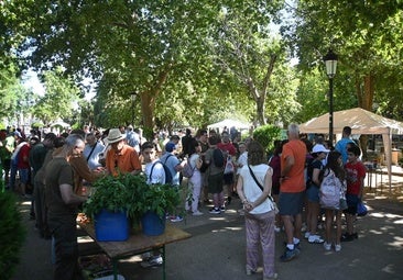 GRan ambiente en el Parque de la Paz