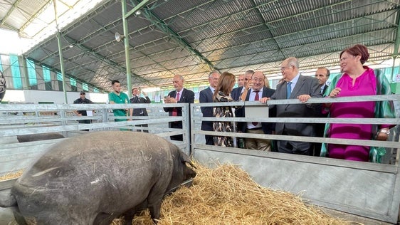 Visita de las autoridades a la nave de porcino ibérico de la feria