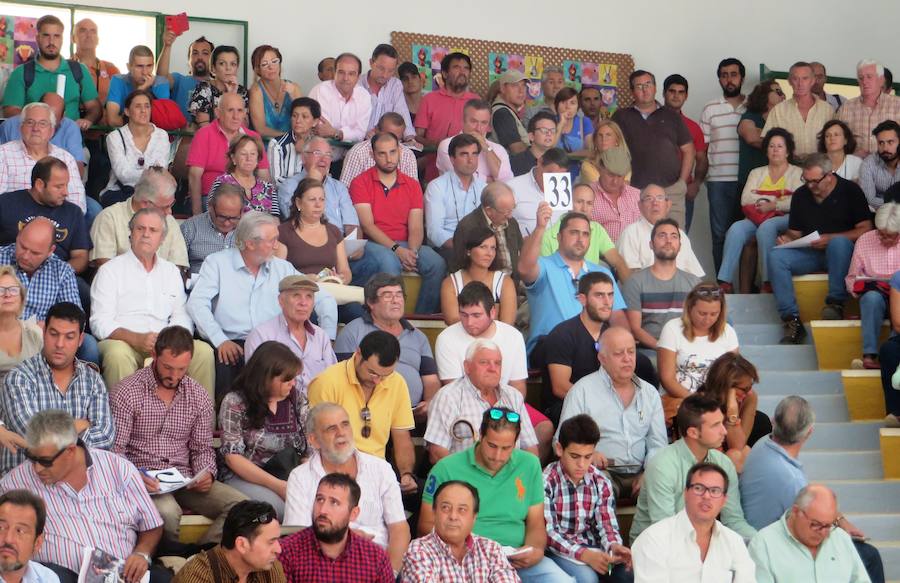 Público 