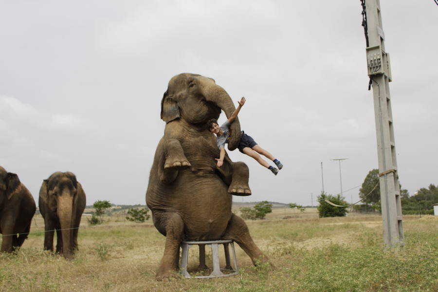 Ensayos antes de la actuación 