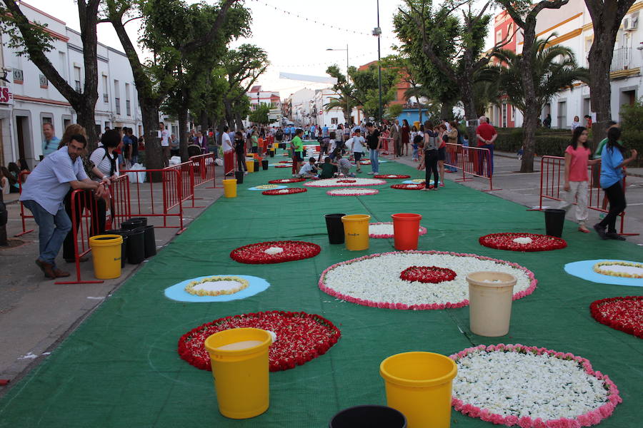 Alfombrado Calle Ancha 