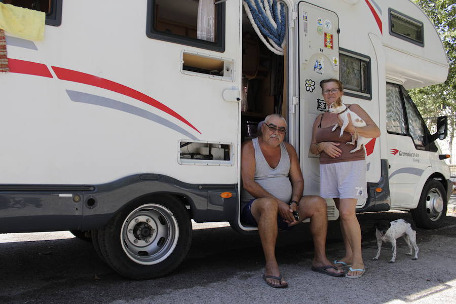 Cándido y Pepi viajan con sus mascotas 