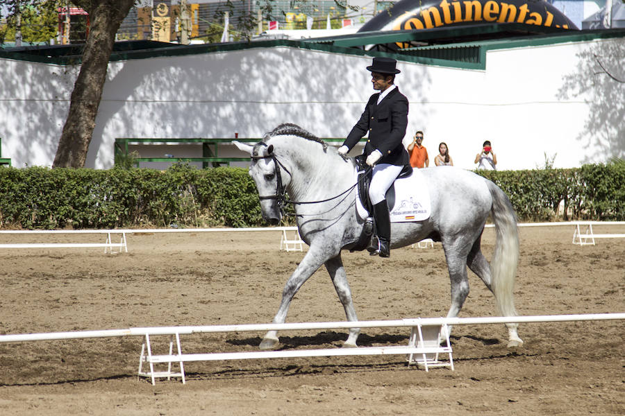 Más de un centenar de ejemplares acuden al XXIX Concurso Morfológico Internacional de Caballos de Pura Raza Española