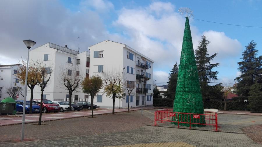 La Barriada del Príncipe cuenta con el árbol anteriormente instalado en la plaza del Alcázar