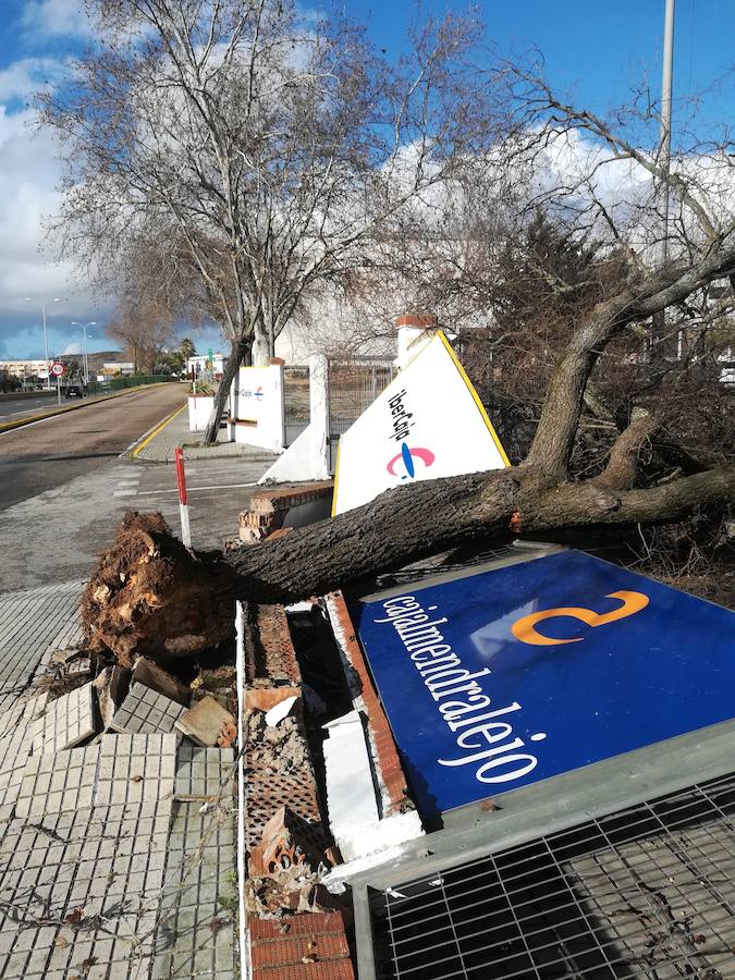 El temporal de lluvia y viento causa desperfectos en la ciudad