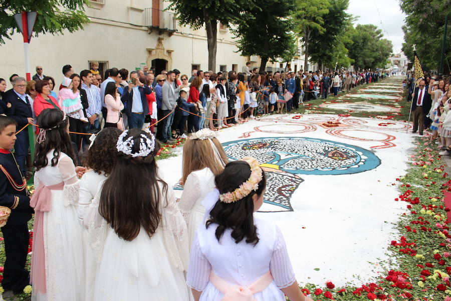 30.000 claveles y 1800 kilos de sal para el Alfombrado de la calle Ancha de Zafra
