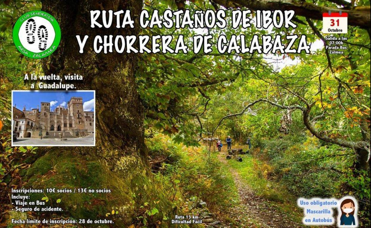 Ruta senderista 'Castaños de Ibor y Chorrera de Calabaza' 
