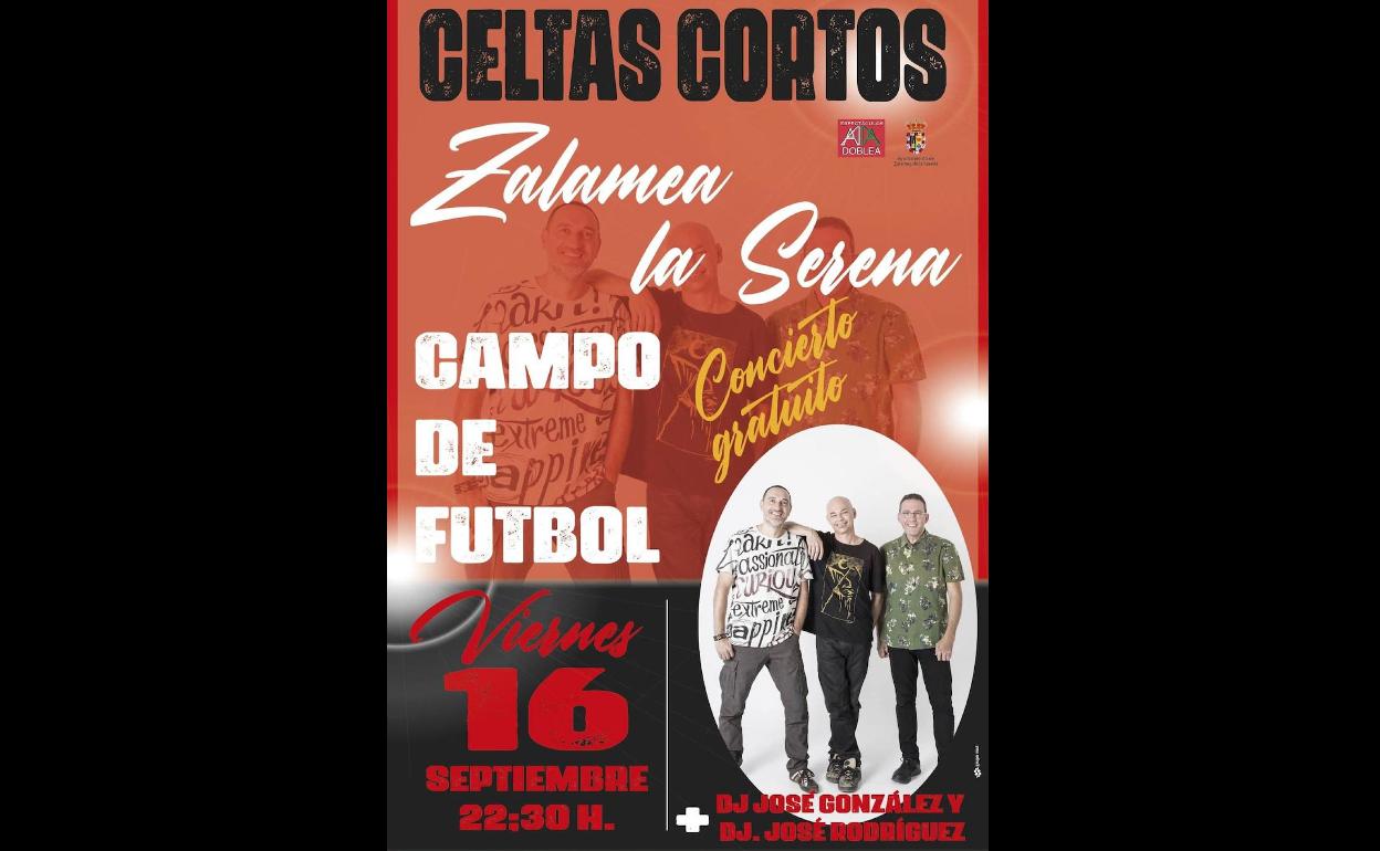 Cartel del concierto 