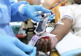 El Banco de Sangre hará parada en Zalamea este mes de mayo