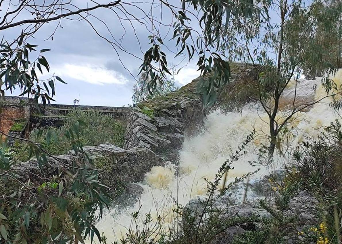 Imagen secundaria 1 - La charca de Zalamea abre sus compuertas