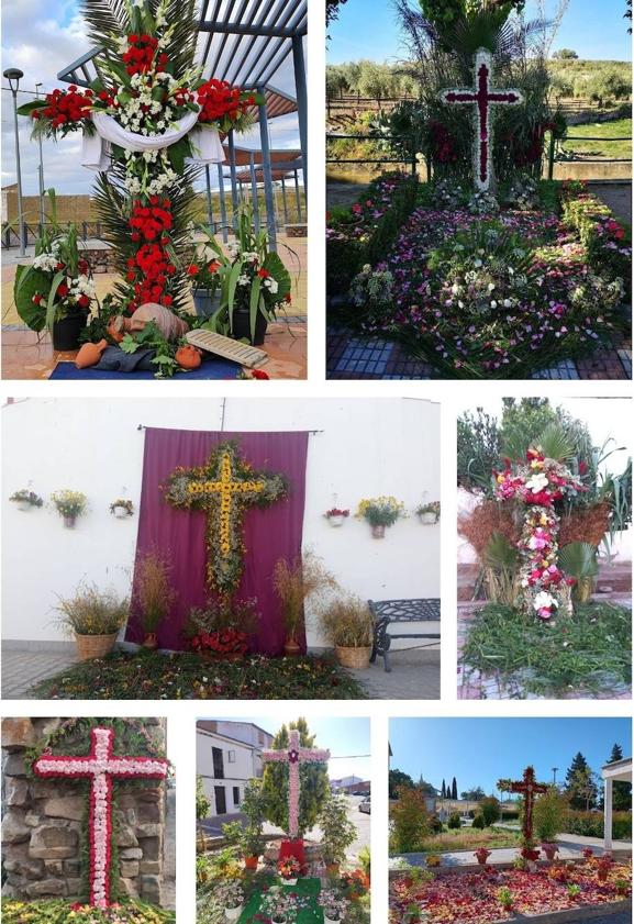 Imagen principal - Cruces participantes este año.