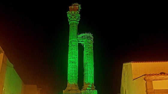 El Distylo ilipense se ilumina en verde en apoyo a los pacientes de ELA