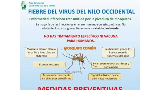 El Ayuntamiento comparte consejos preventivos frente a la Fiebre del Nilo Occidental
