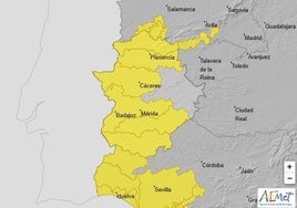 Avisos activos para el jueves 31 de octubre.