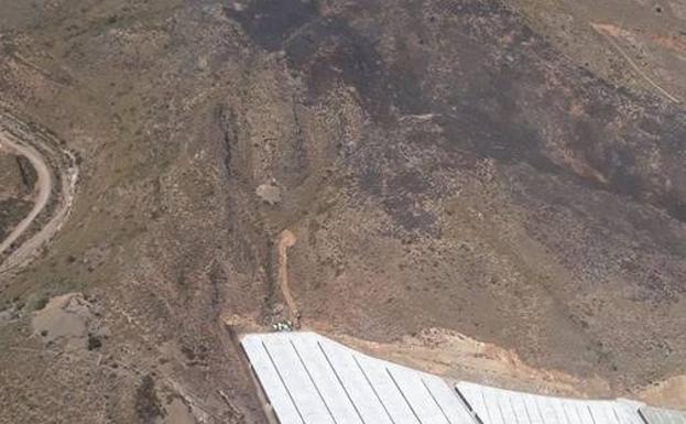Controlado el incendio forestal en Balanegra