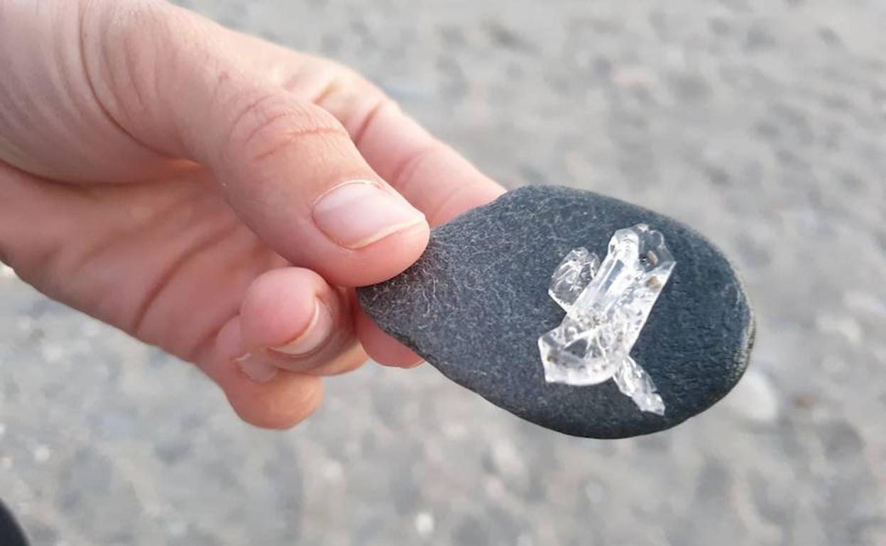 Aparecen pequeños seres transparentes en playas de Adra