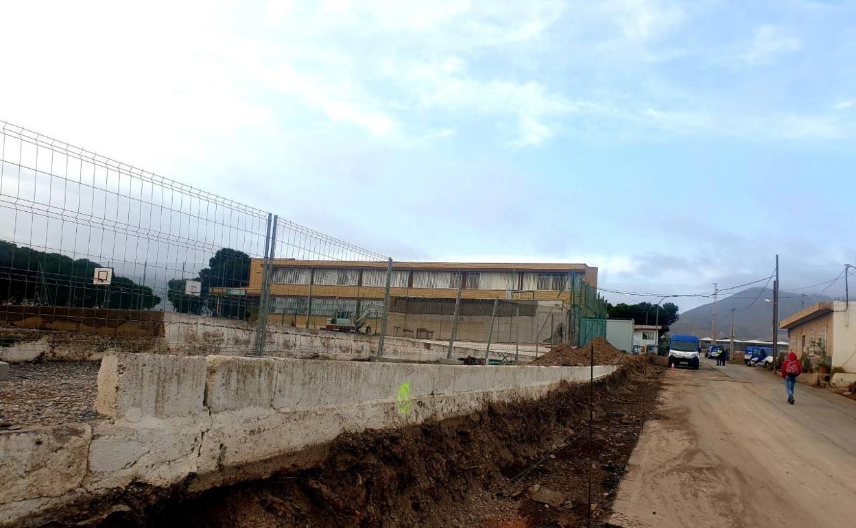 Tala de árboles en el colegio Nueva Andalucía de La Curva