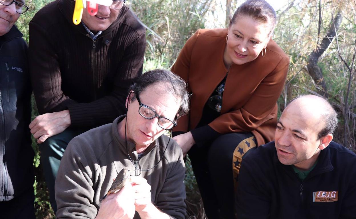 Los murciélagos tendrán su refugio en las Albuferas de Adra