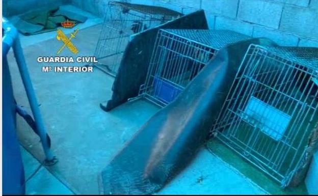 Sucesos en Almería | Frustran una pelea de gallos en Adra en pleno confinamiento