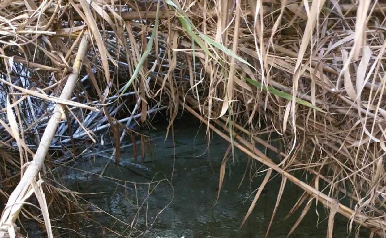 Cauce del río Adra. 