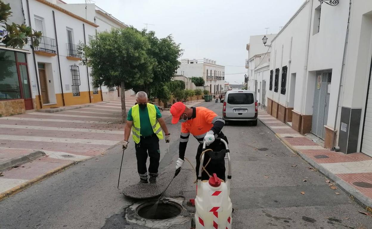 Dalías desinfecta sus alcantarillas para combatir insectos y roedores