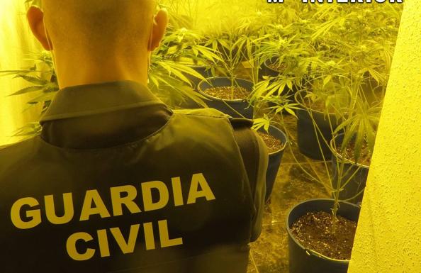 Detenidas cuatro personas por cultivar marihuana en dos viviendas de Adra con acometidas ilegales