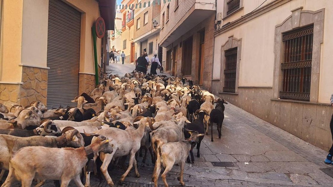 San Marcos cumple con la tradición en Adra