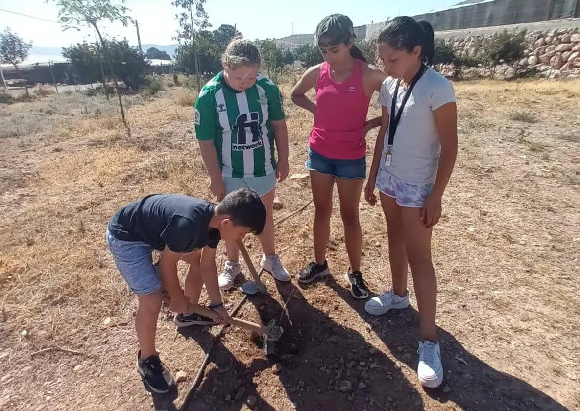 Alumnos de Dalías plantan una decena de algarrobos