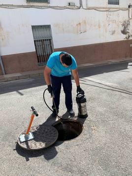 Las altas temperaturas adelantan el plan de desinfección en Dalías