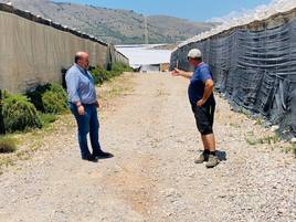 Dalías pavimentará el camino de Los Hornillos