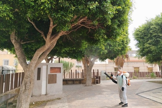 Operarios municipales llevan a cabo un plan de limpieza y desinfección «intensivo»
