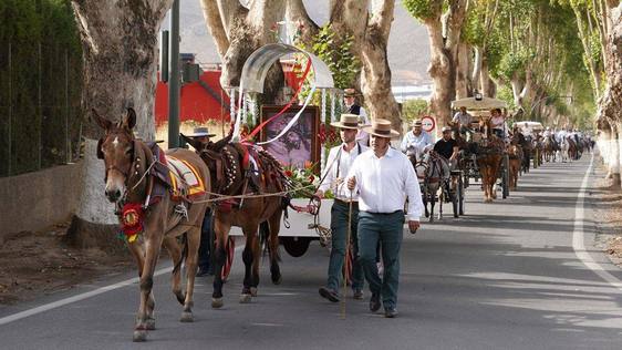 Los caballos serán protagonistas en Benejí