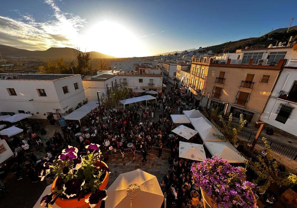 Premio a una calabaza de 65 kilos en Laujar de Andarax