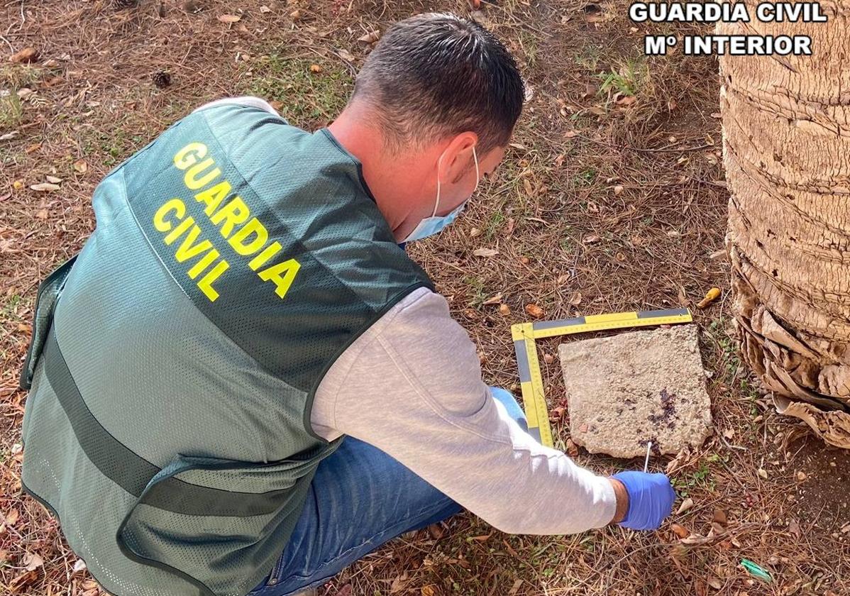 Le golpean con una piedra en la cabeza para robarle los 6.000 euros recaudados en su negocio