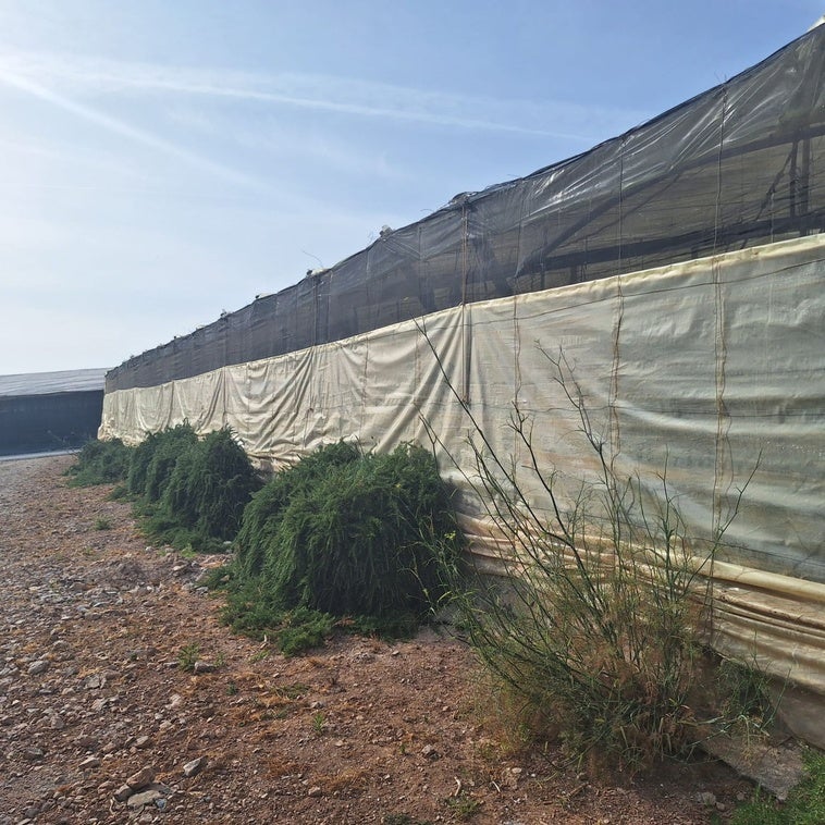 Dalías adjudica las obras para acceder a las fincas de Los Hornillos