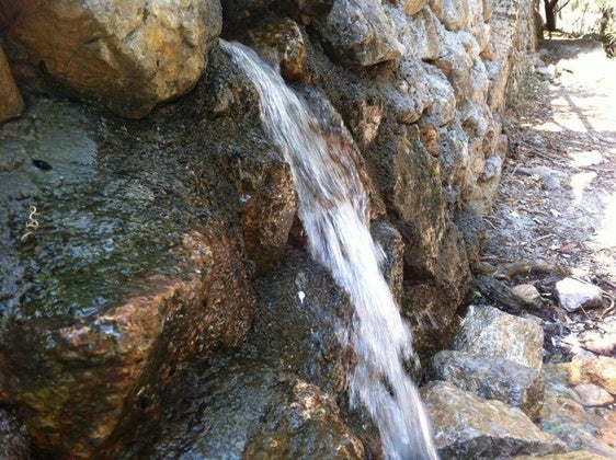 Dalías avanza en la gestión del agua