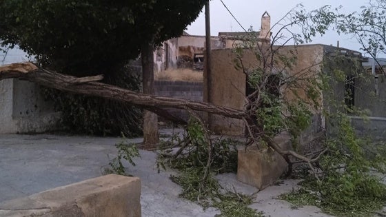 El Ayuntamiento de Dalías evalúa los daños provocados por la DANA en más de 3 millones de euros