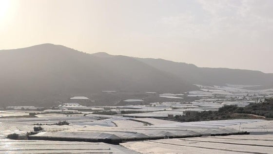 Dalías pide a Junta y Gobierno estar entre los municipios afectados por la DANA