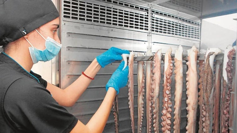 Reconocimiento europeo para el pulpo seco de Adra, este verano