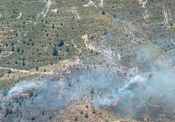 Incendio forestal declarado en Berja.