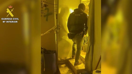 Dos detenidos tras desmantelar cultivos de marihuana con alta tecnología en Berja y Alcolea