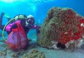 Algunos de los participantes en la iniciativa llevada a cabo en el municipio abderitano.