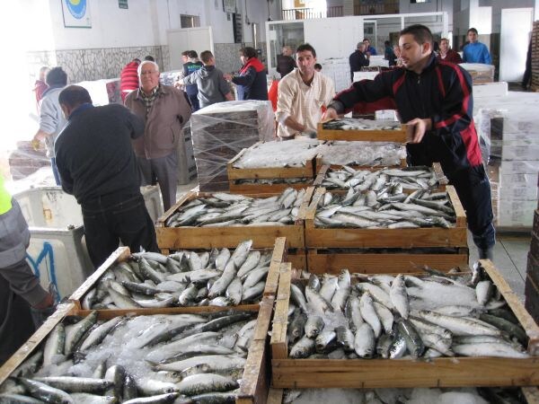 Almería exporta más de 7 millones de kilos de pescado y marisco hasta noviembre de 2012, un 36,5% más que en 2011