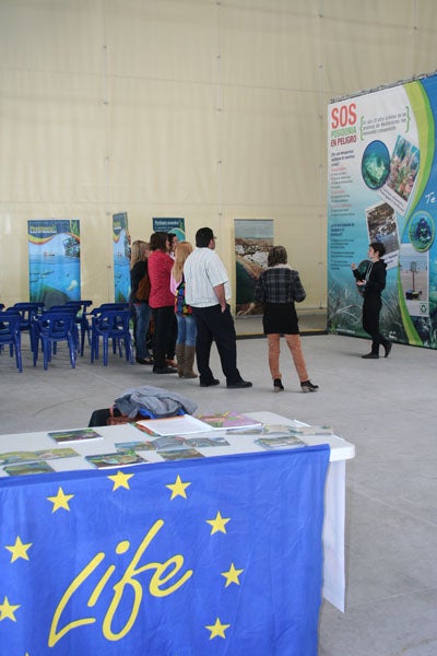 ‘Posidonia 100% Mediterránea’ pone en valor esta planta marina en Berja