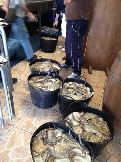 Implicados tres pescadores de Adra en la incautación de de 50 kilos de pescado inmaduro en El Ejido