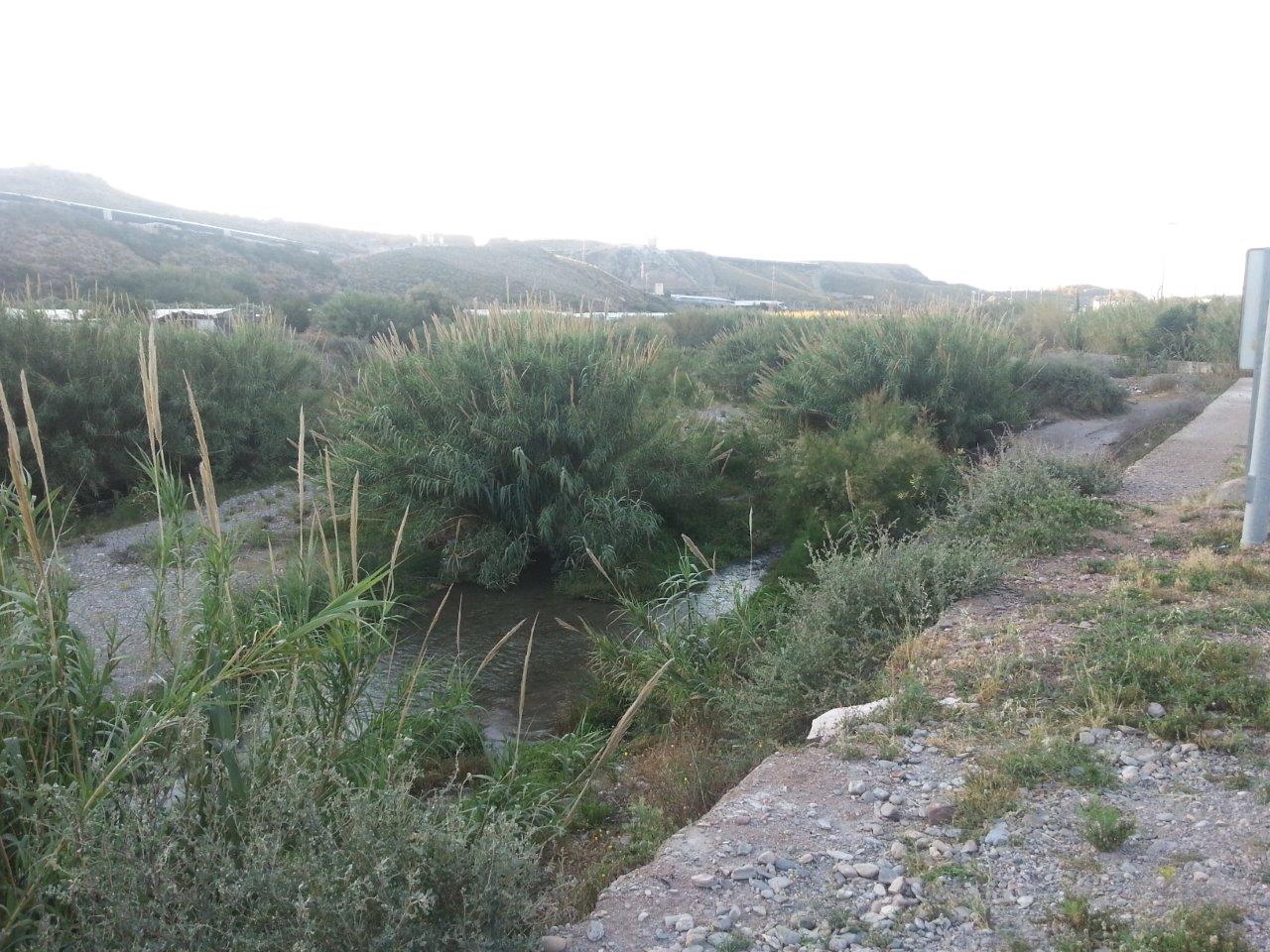 Gobierno y Junta de Andalucía «acercan posturas» sobre el río, a juicio del Ayuntamiento